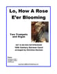 Lo, How A Rose Ever Blooming P.O.D. cover